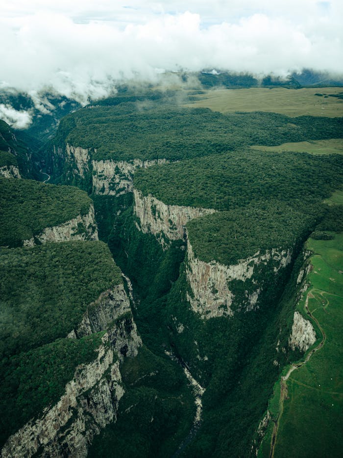 Drone Shot of Forest on Rock Formations